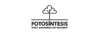 7-fotosintesis